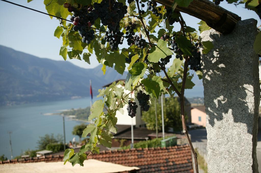 Garten Hotel Dellavalle Brione sopra Minusio Exterior photo